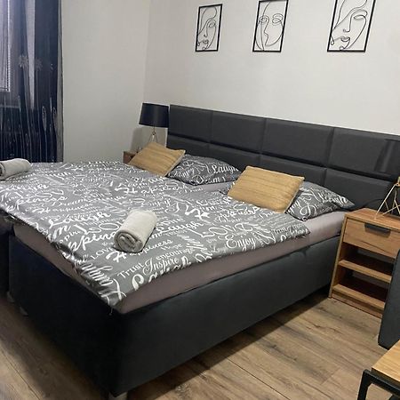 Cerna Ruze - Apartman 4 Plzeň Kültér fotó