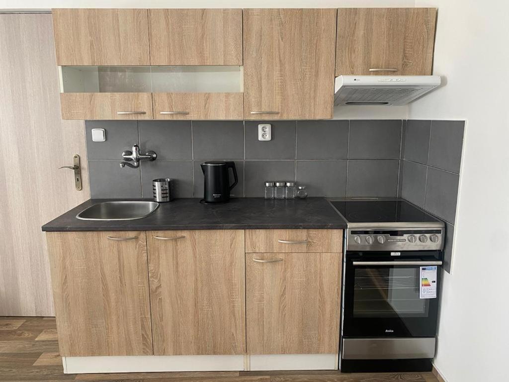 Cerna Ruze - Apartman 4 Plzeň Kültér fotó